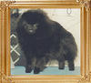 16304z_Finchs_Amazing_Lil_Walker_Ch.jpg