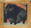 16318z_Finch_Bodacious_Ten_Ch.jpg