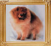 17213z_Sundowns_Little_Casino_Ch.jpg