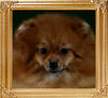 19294z_Chalex_Potchie_of_Ava.jpg