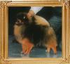 20293z_Orm_of_Yuan_Shin_Kennel.jpg
