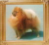 20316z_Polu_of_Huei_An_Kennel.jpg