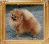 20538z_Chalex_Deborah_of_Canton_10_mo.jpg