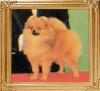 20791z_Milky_of_Y.W._Leira_JP.jpg