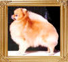 20982z_Sandy_At_Gloria.jpg