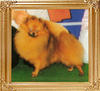 25978z_Super_Fischer_of_Garden_Masu_JP.jpg