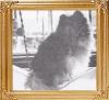 37692z_Nolas_Little_Benjamin_Bunny_Ch.jpg