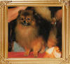9849z_Second_Pic_Super_James_of_Hamada_House_FCI.jpg