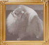 Aristic_Little_Pepper_Pod_Ch_32411.jpg