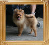 Canton_Andrea_Dream_5mo_4.2lbs_2117.jpg