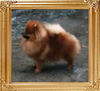 Canton_Carmela_Dream_0099__final.jpg