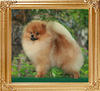 Canton_Dreams_N_Visions__7529_1yr_4mo_47014.jpg