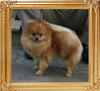 Canton_Elsa_Martinelli_1yr_3mo_8240.jpg
