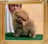 Canton_Jenny_Sheldon_2mos_4124.jpg