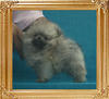 Canton_Katrina_Wayne_099lbs_2mo_1wk_P6-6_7449.jpg