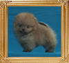 0.7lbs at 1month 4weeks Canton_Kelvin_Kelly_0.7lbs_1mo_4wk_49626.jpg