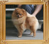 Canton_Magdalena_Jasek_1yr_4.73lbs_2636.jpg