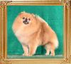 Canton_Montgomery_Clifford_0314.jpg
