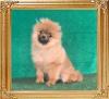 Canton_Selecting_Alison_5957.jpg