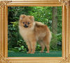 Canton_Sunrise_Acceleration_6mo_1wk_3.5lbs_47143.jpg