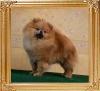 Canton_Theresa_Li_5197.jpg