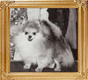 Cedarwoods_Wee_Bit_ORobin_Ch_33325.jpg