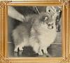 Edwards_Reddy_Teddy_Am_Ch_10833.jpg