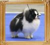 Fluke_Poms_Mobin_Final.jpg