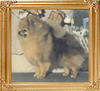Idas_Ms_Priss_Of_Bev-Nor_Ch_16541.jpg