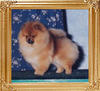 Janesas_Million_Dollar_Baby_ch_35642.jpg
