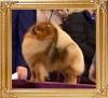 Karals_Wont_Apologizes_GCHB_CH_7055.jpg