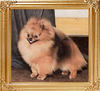 Precious_Petites_Gabriel_Ch_11067.jpg