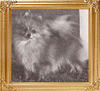 Queenaire_Autumn_Orange_Ch_38548.jpg