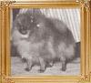 Queenaire_Regal_Duchess_Ch_38580.jpg