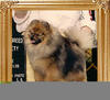 Southland_N_Bev-Nor_Dynasty_39711.jpg