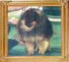 Southlands_Jack_In_The_Box_Ch_10586.jpg