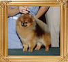 Southlands_Mighty_Impressive_912.jpg