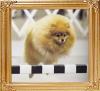 Southpaws_Cherish_Every_Moment_Ch_47379.jpg