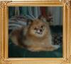 Willies_Lil_Annie_18892.jpg