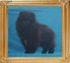 Yingyang_Black_Amarillo_3mo_3.3lbs_P6-6_4407.jpg