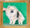 Yingyang_Miss_Martian_1_yr_4636.jpg