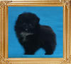 Yingyang_Triton_Chelsea_1.1lbs_2mo_1wk_49530.jpg