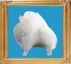 white_8x10.jpg