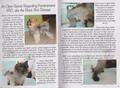 POMERANIAN_FOURTEEN_STORY_NEW_1.jpg