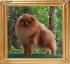 Canton_Fearless_Hercules_14mos.JPG