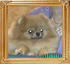 Canton_Grace_of_Mt_Crest_Frame.jpg