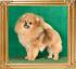 Canton_Hot_Love_Ph_Ch_1_yr_10_mo.jpg