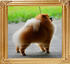 Canton_Jet_Li_back_view.jpg