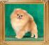 Canton_Maximillian_4443_1.jpg