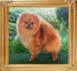Canton_Rapunzel_new_pic.jpg